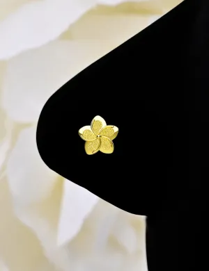 14k gold plumeria flower nose stud & tiny nose ring piercing jewelry