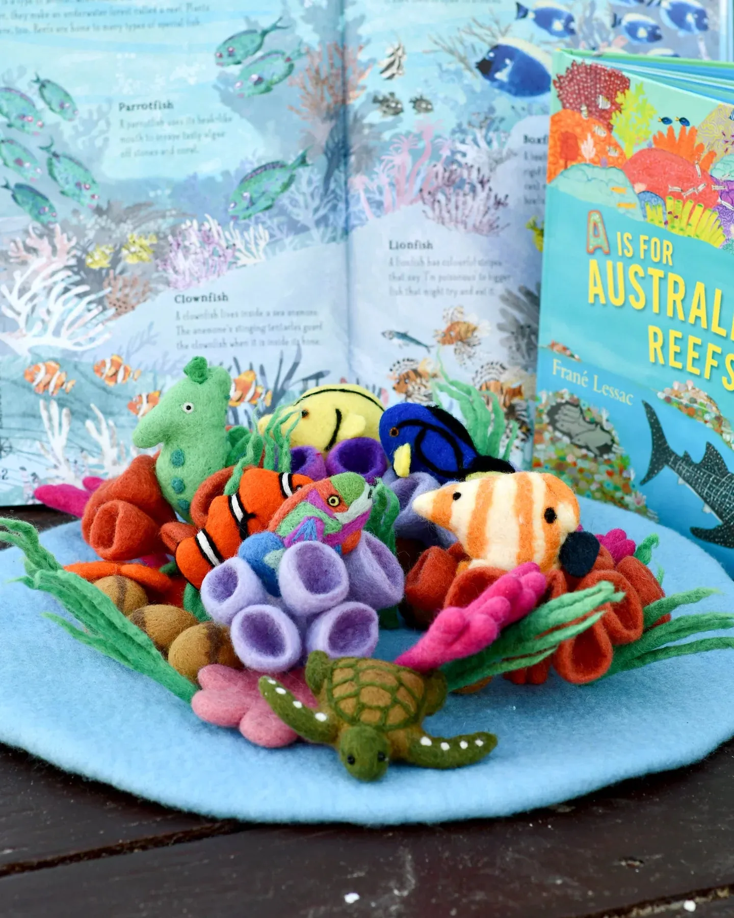 Felt Coral Reef Play Mat Playscape